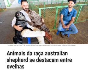 Folha Região - Araçatuba - 12/07/2017